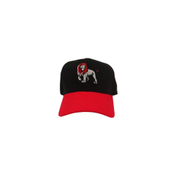 CASQUETTE ARES FIRE - 4-12 ANS